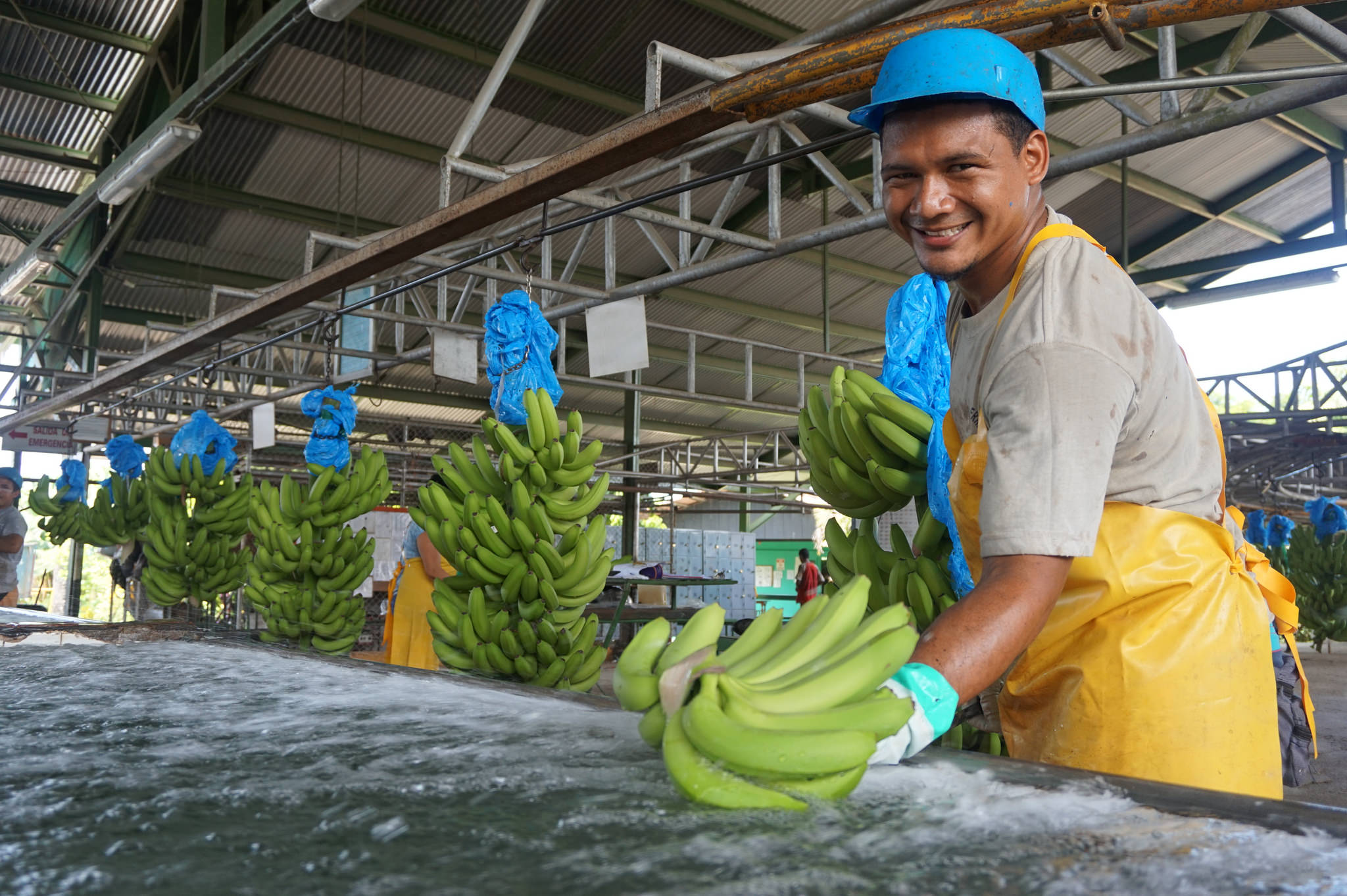 How We’re Working with the Banana Sector to Implement and Improve Our