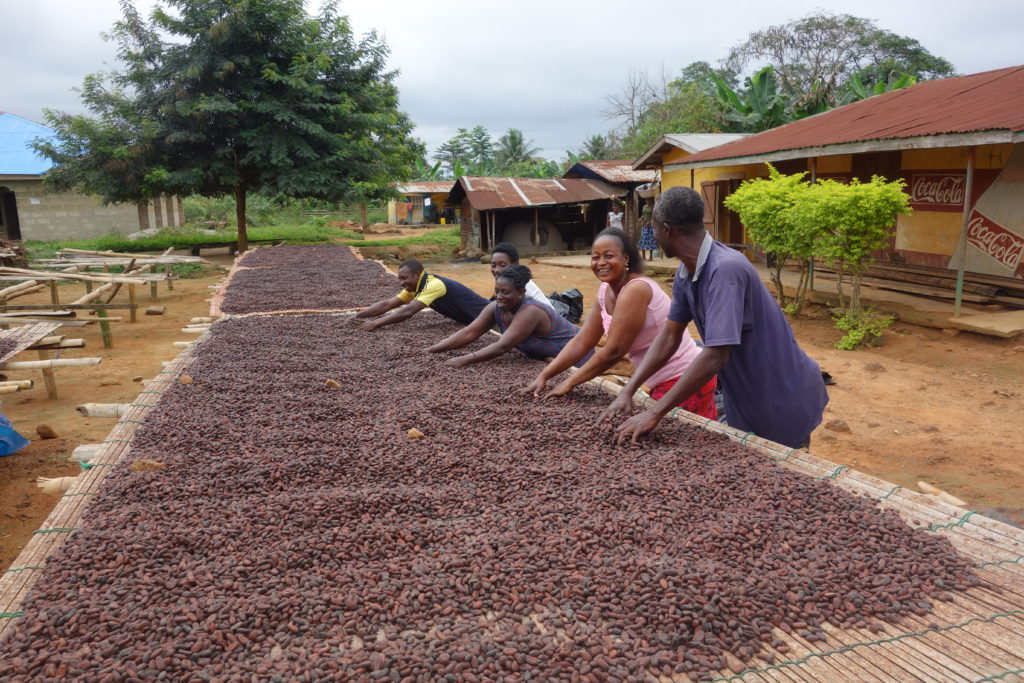 Toward a Sustainable Cocoa Sector Research Report Rainforest
