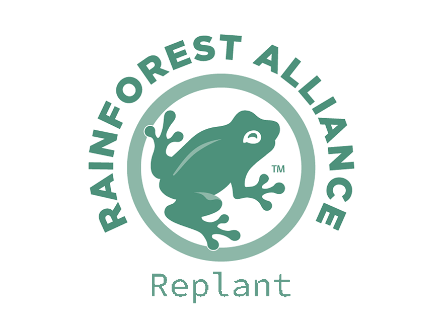 rainforest-replant