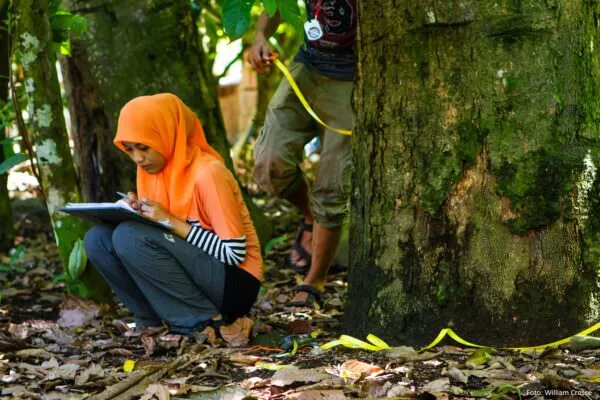 Kakao Indonesien mustika