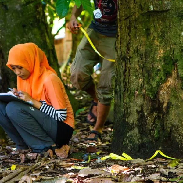 Kakao Indonesien mustika