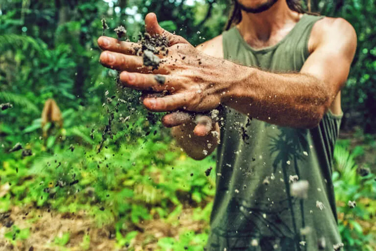 soil and hands