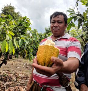 Member of cocoa cooperative Karya Bersama, spreading sustainable farming practices through Indonesia 