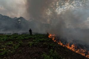 Ein brennendes Feld im Amazonas