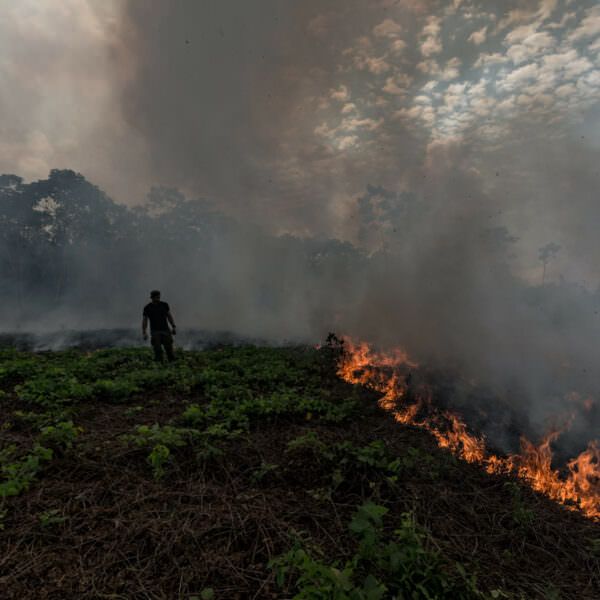 Ein brennendes Feld im Amazonas