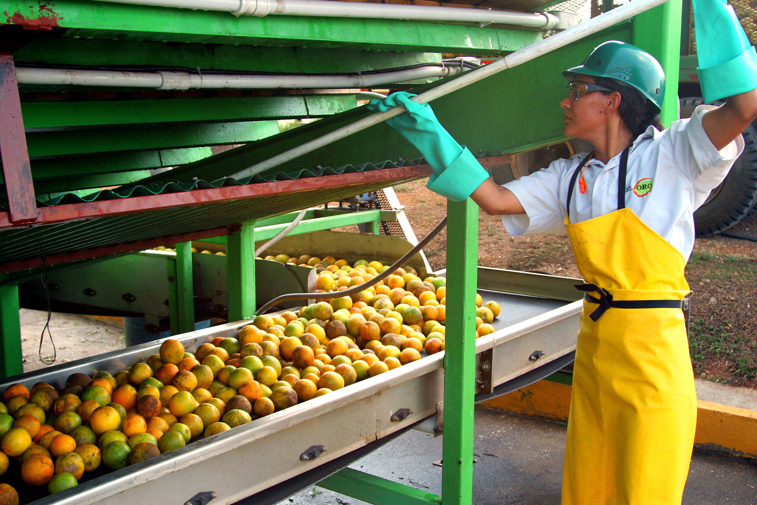 What is Mass Balance Sourcing?