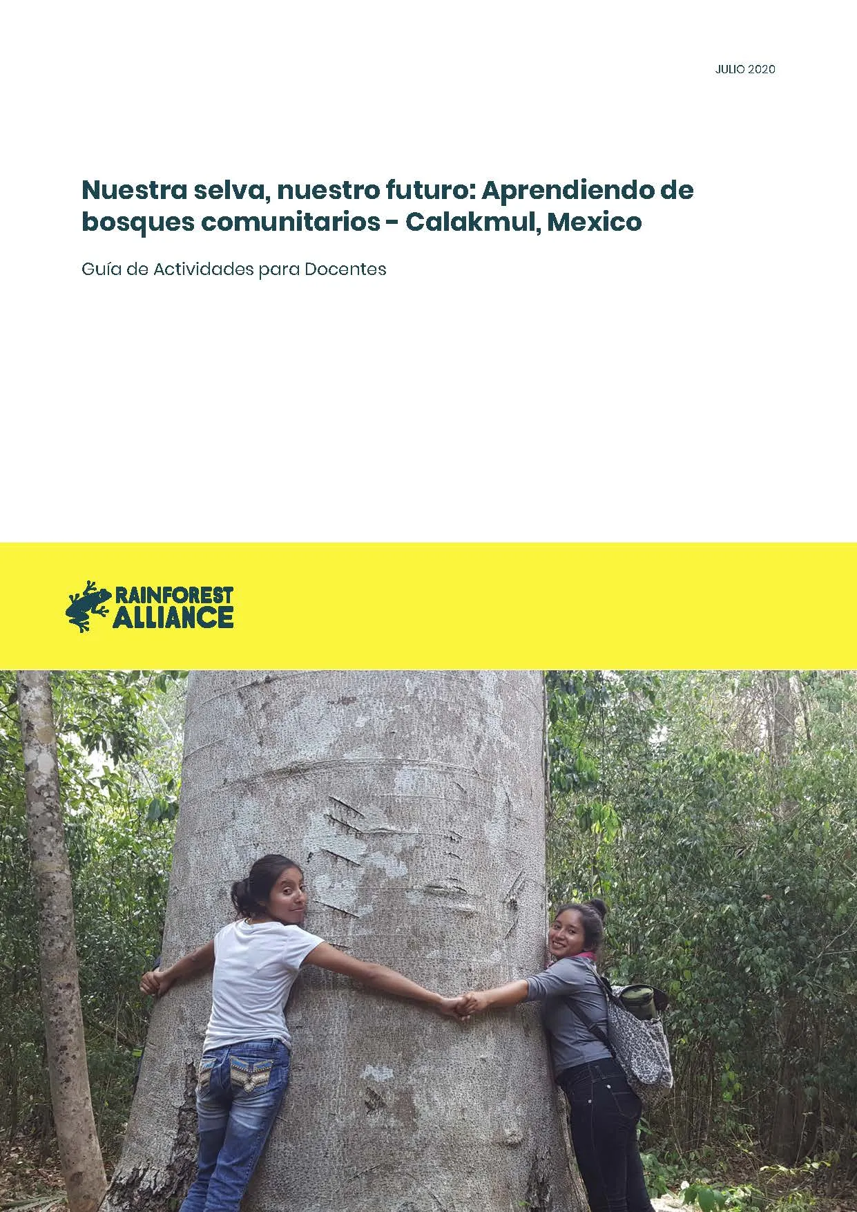 Guía educativa del manejo forestal sostenible thumbnail.
