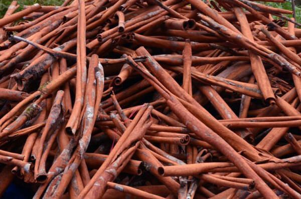 Pile of cinnamon bark