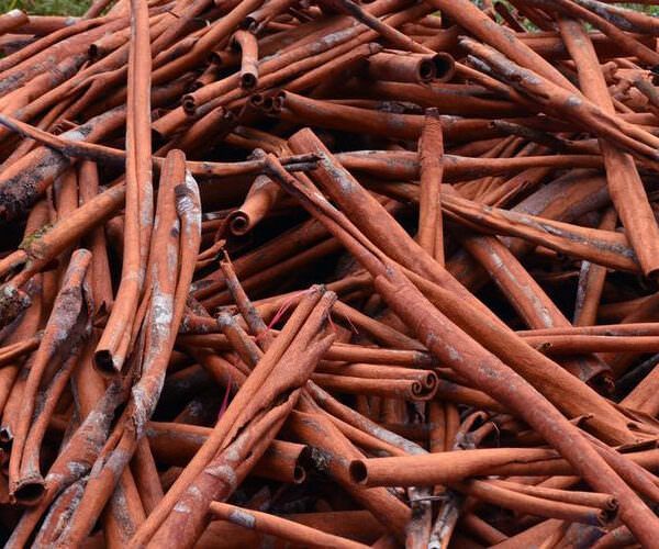 Pile of cinnamon bark