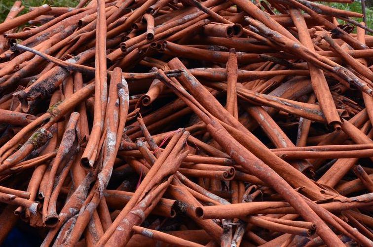 Pile of cinnamon bark