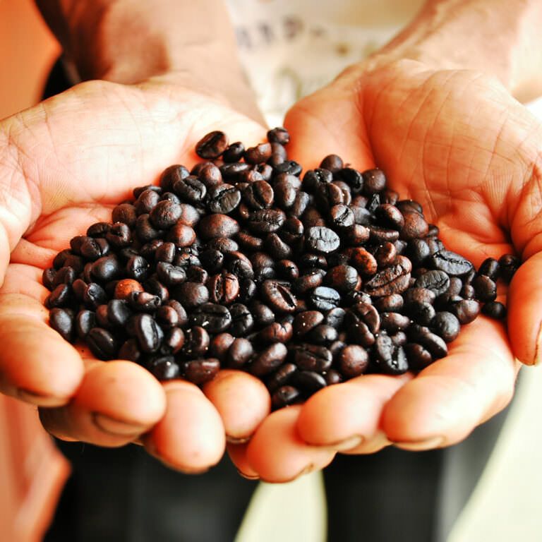 Coffee beans held in cupped hands