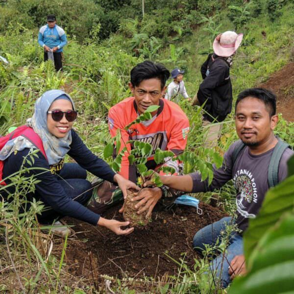 regenerative agriculture project in Indonesia