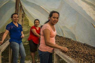Improving rural livelihods is at the core of the Rainforest Alliance's work