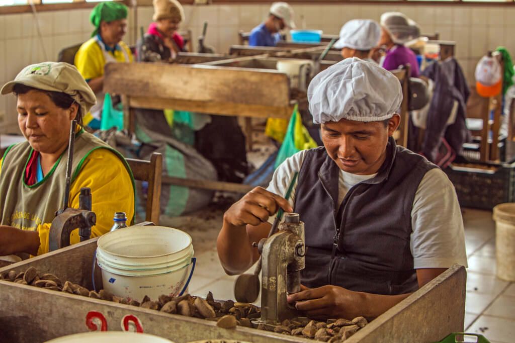 Brazil nut processing factory in Madre de Dios, Peru