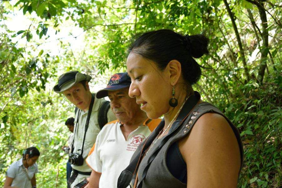 Carbon coffee farmers