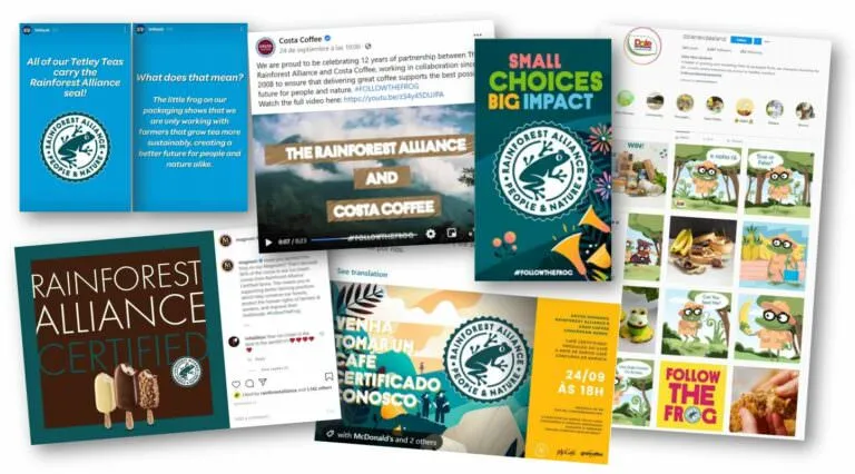 Compilation partner activations with Rainforest Alliance seal