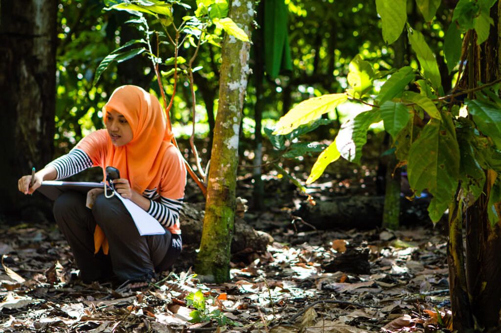 A Rainforest Alliance trainer gathering data on a cocoa farm in Indonesia.