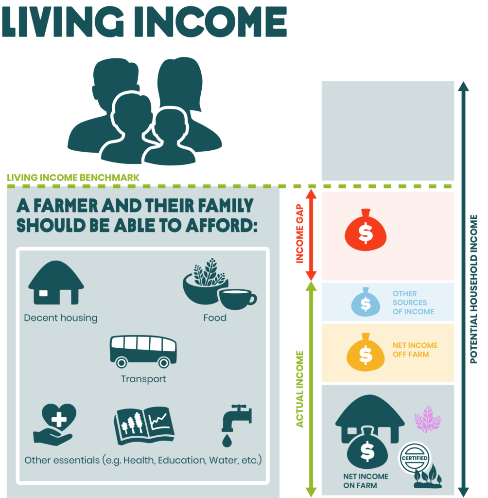 Living income matrix