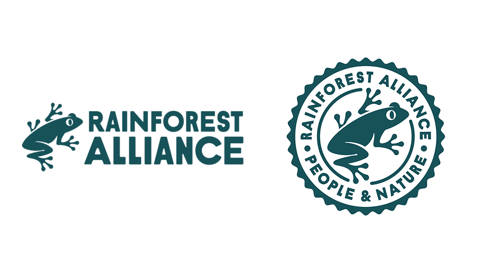 Rubber Tree  Rainforest Alliance