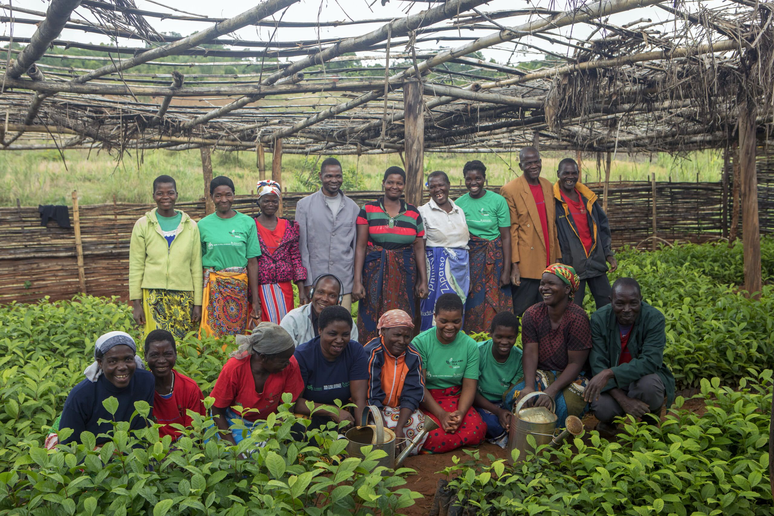 How Rainforest Alliance Certification Benefits Your Farm Rainforest