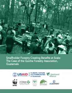 Aforq smallholder forestry guatemala case study thumbnail