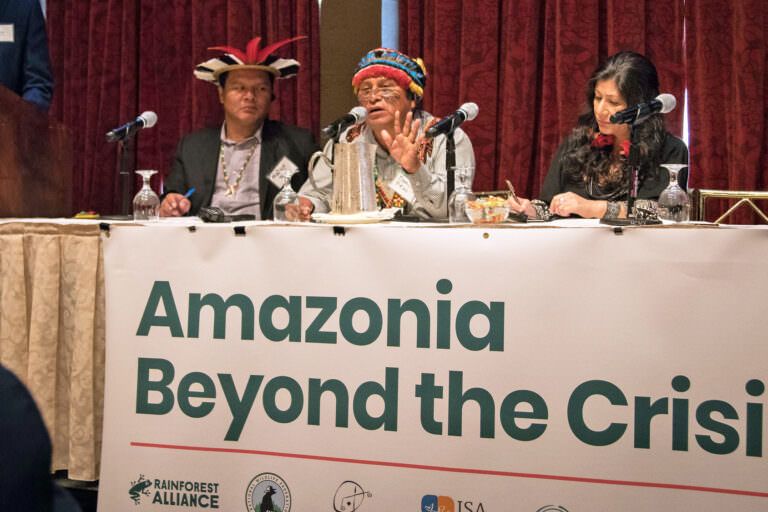amazon beyond the crisis event