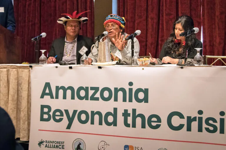 amazon beyond the crisis event