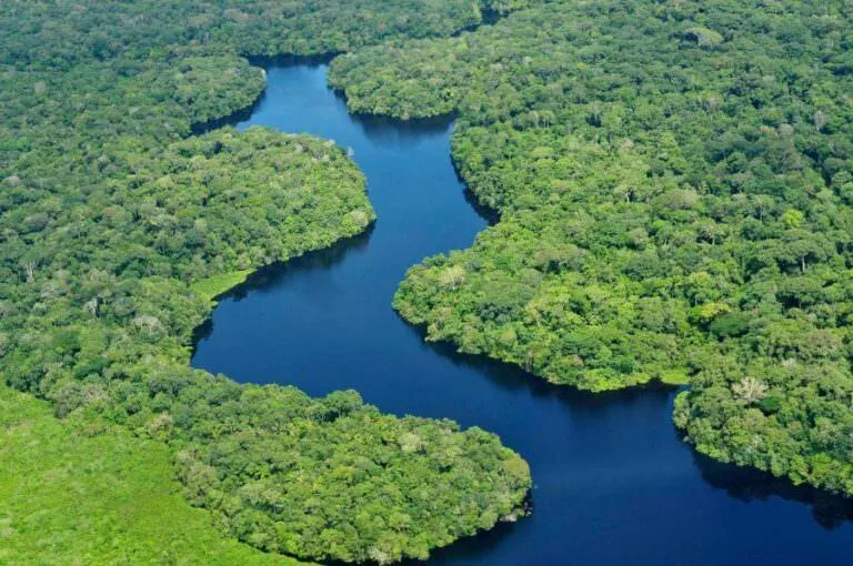 Aerial view of the Amazon Rainforest