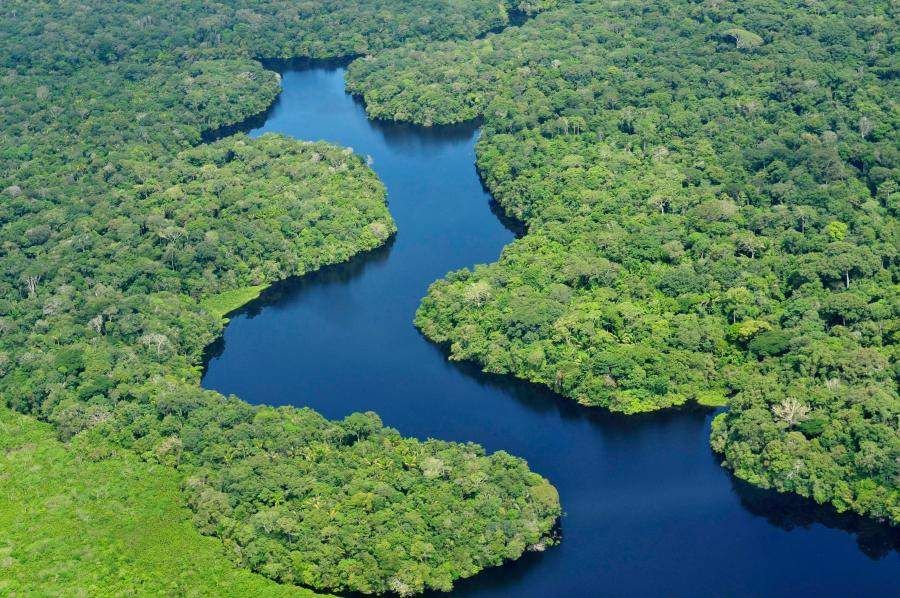 Forêt tropicale : les faits et les chiffres
