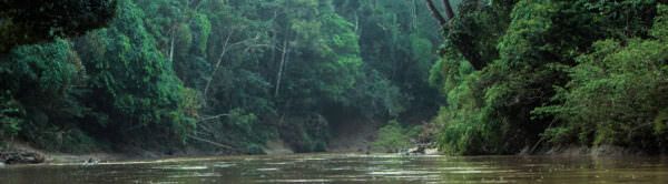 On the Amazon river - header