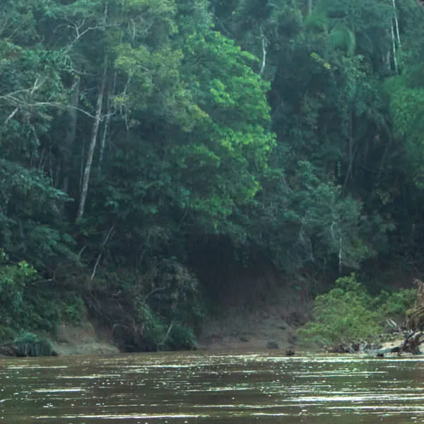 On the Amazon river - header