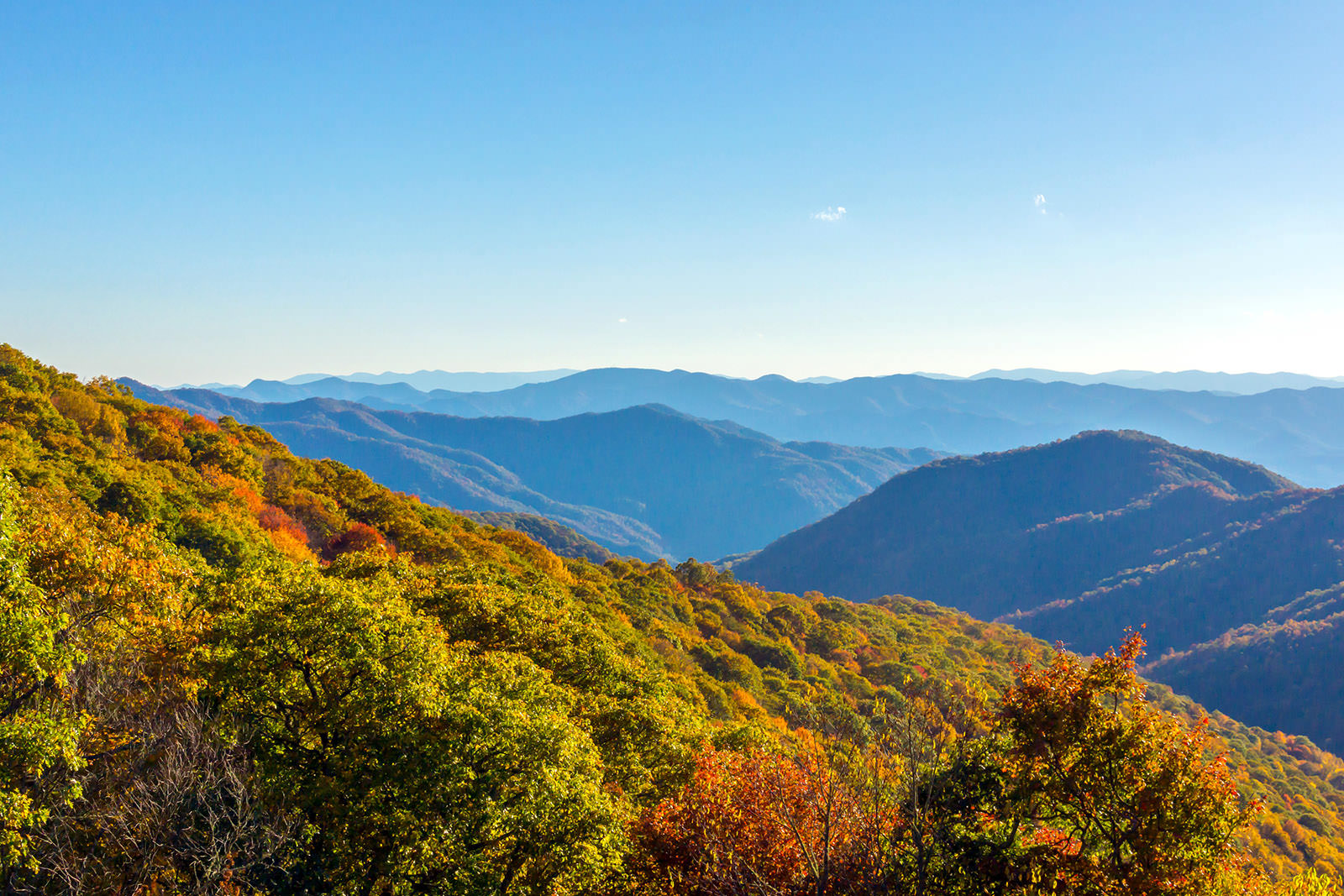 Sustainable Forestry in Appalachia | Rainforest Alliance