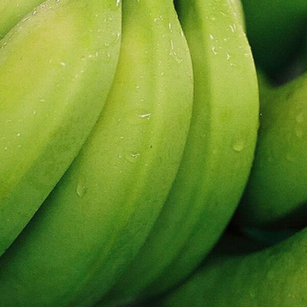 Bananas - header