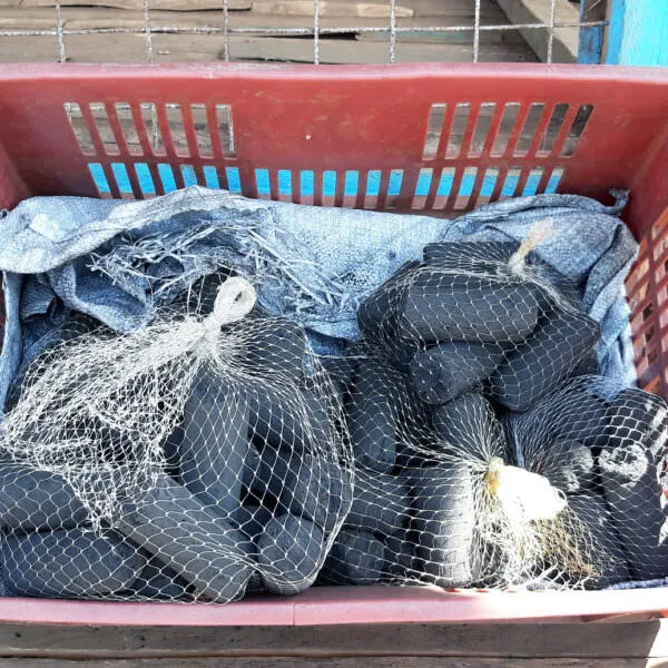 biomass briquettes kenya tea