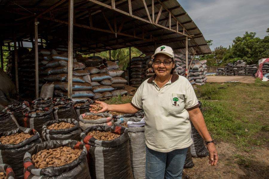 Community member shows brazil nut product.