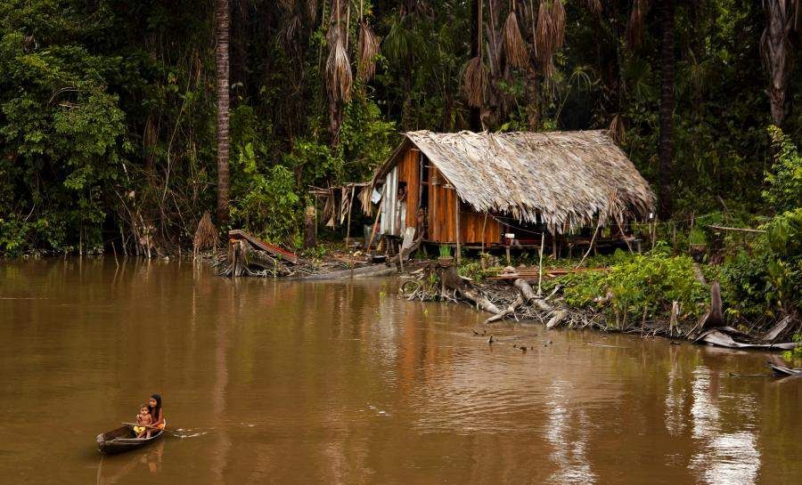 A Brazilian indigenous family living in a hut by the Amazon River