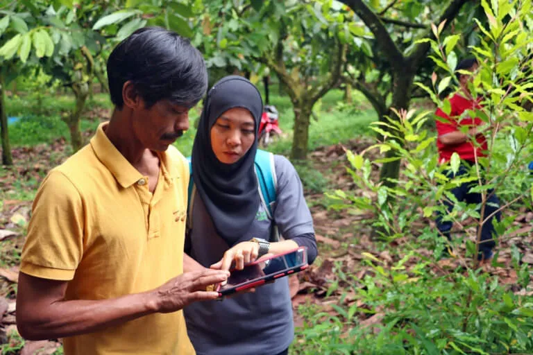 Auditor looking at an ipad during a certification inspection in a cocoa farm.