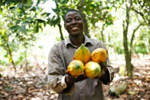 A farmer holding Rainforest Alliance certified cocoa pods in Ghana