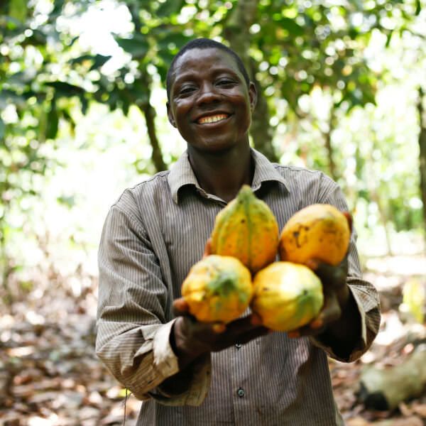 A farmer holding Rainforest Alliance certified cocoa pods in Ghana