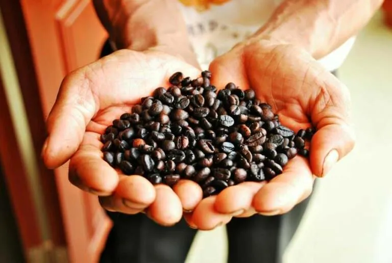 Coffee beans in hands