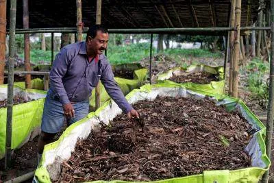 Tea farmers use compost as fertilizer on this Rainforest Alliance Certified farm.