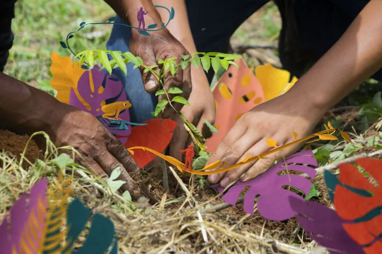 Reforesting header