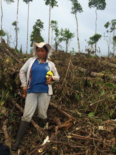 Deforested area in Ecuador