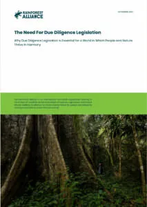 Due diligence legislation thumbnail