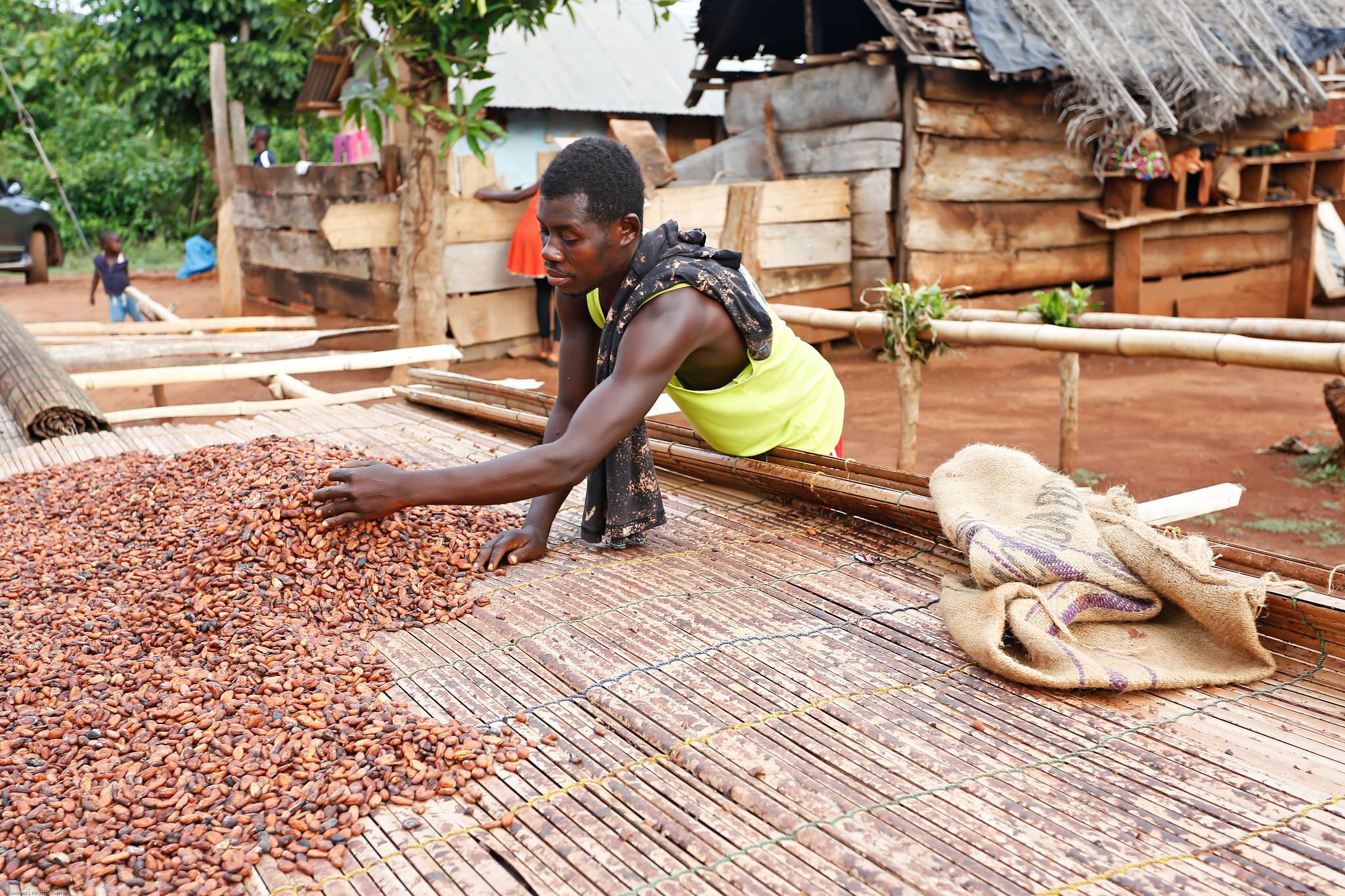 Rainforest Alliance annonce le Programme renforcé de Certification du