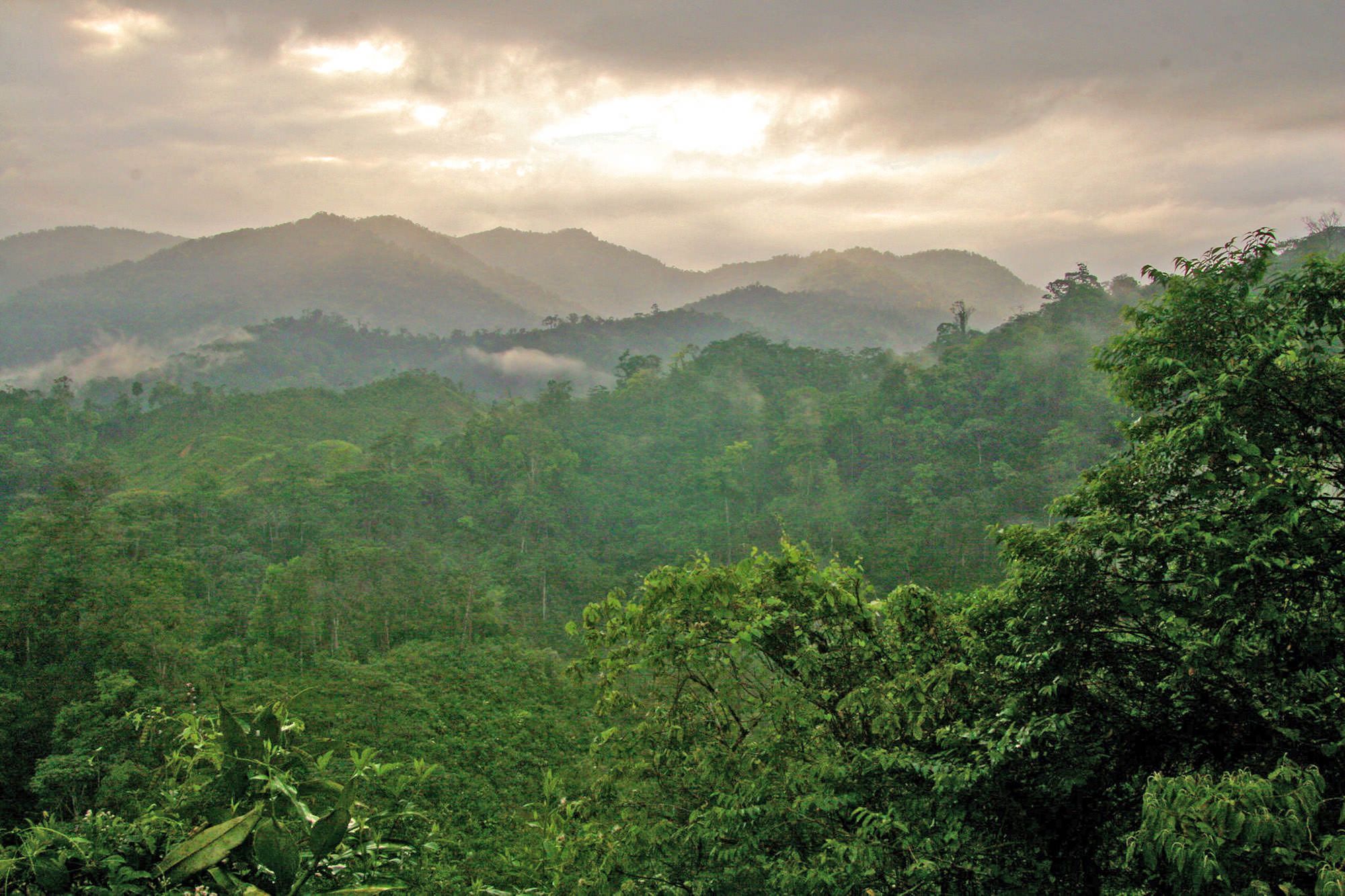 Boosting Climate Resilience and Rural Incomes in Honduras | Rainforest ...