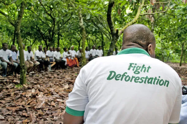 Ghana cocoa fight deforestation