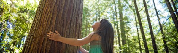 girl hugging tree - header