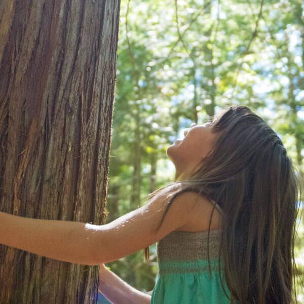 girl hugging tree - header