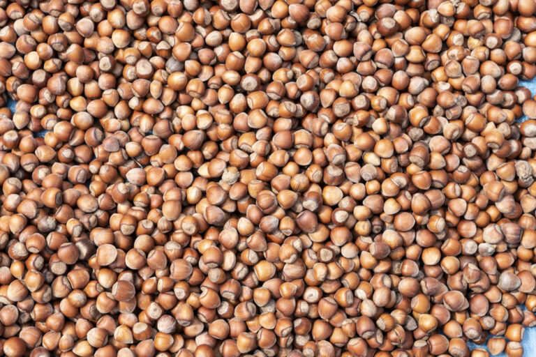 Hazelnuts